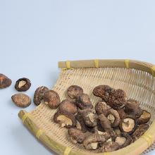 其他新鮮農(nóng)產(chǎn)品市場概況 批發(fā)、價格與廠家分析